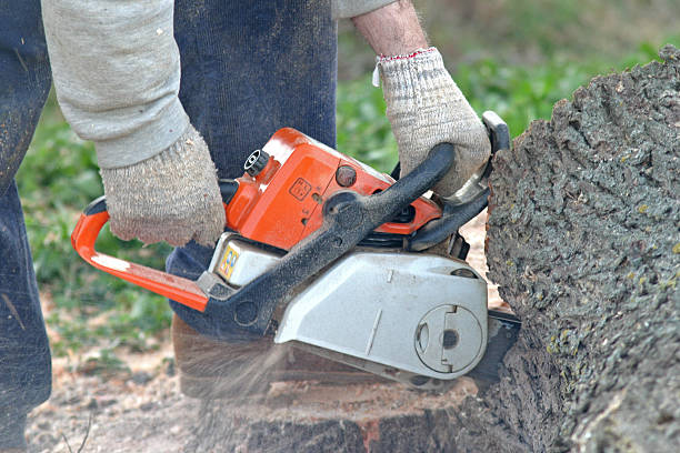 Best Seasonal Cleanup (Spring/Fall)  in Greentown, OH